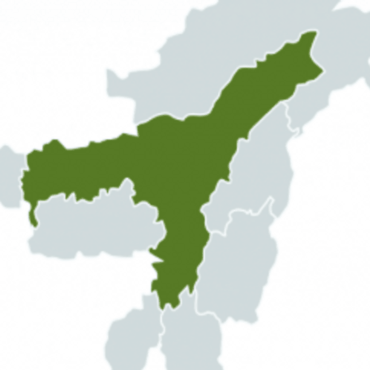 Green Assam
