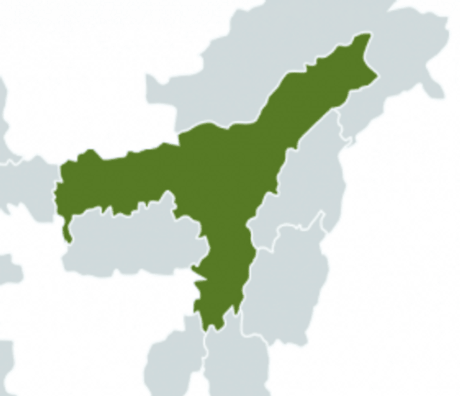Green Assam