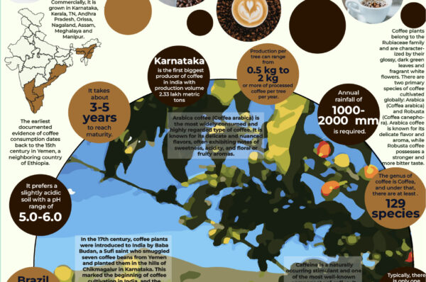 Infographics of Coffee