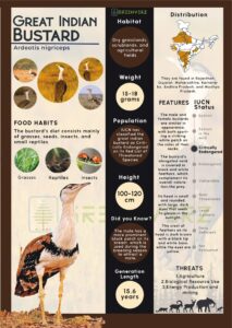 Infographics of Great India Bustard