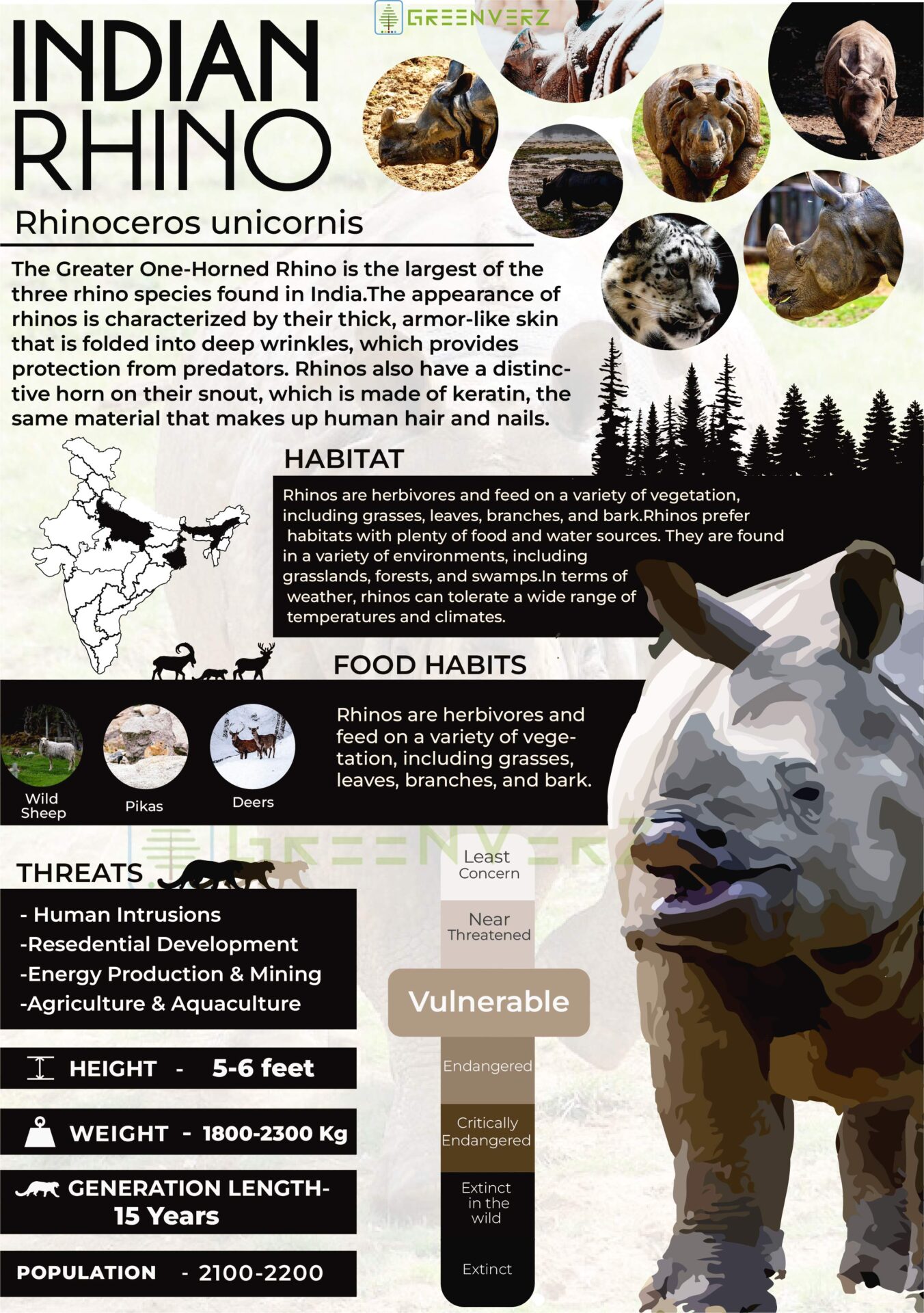 Infographics of Indian Rhino