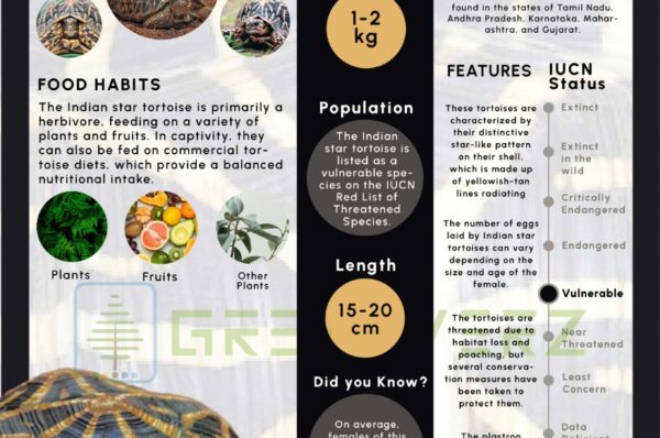 Infographics of Indian Star Tortoise