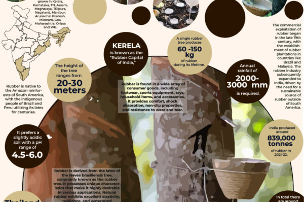 Infographics of Rubber