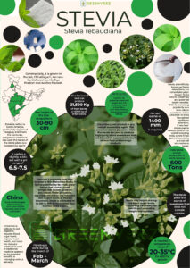 Infographics of Stevia