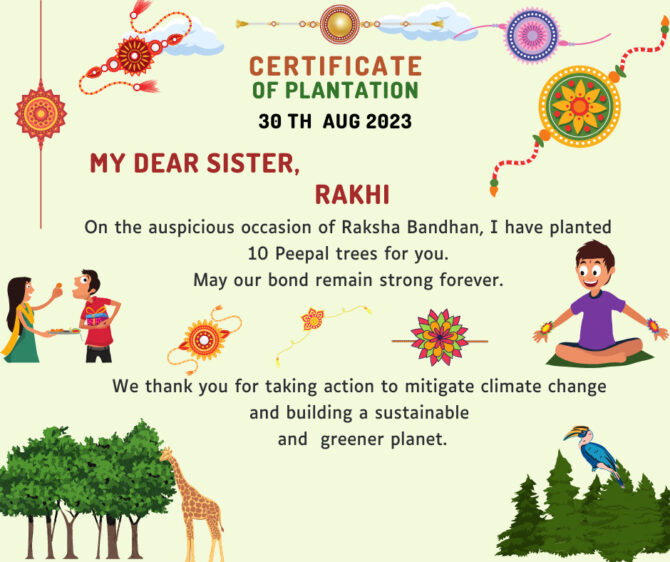 Plant trees on Raksha Bandhan - A unique gift for sisters.
