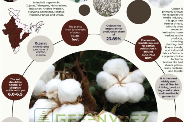 Infographics of Cotton