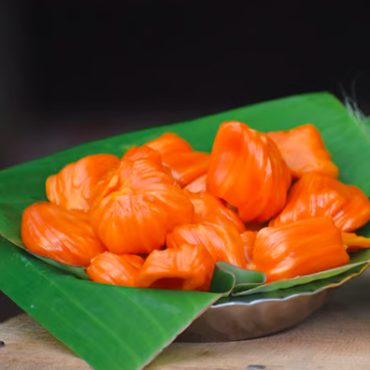 Plant Red Jackfruit