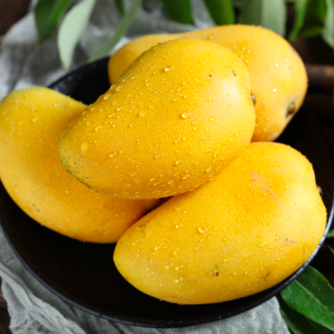 Plant Banganapalli Mango trees